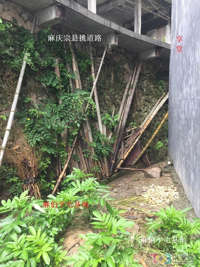 微信图片_20240422090647.jpg