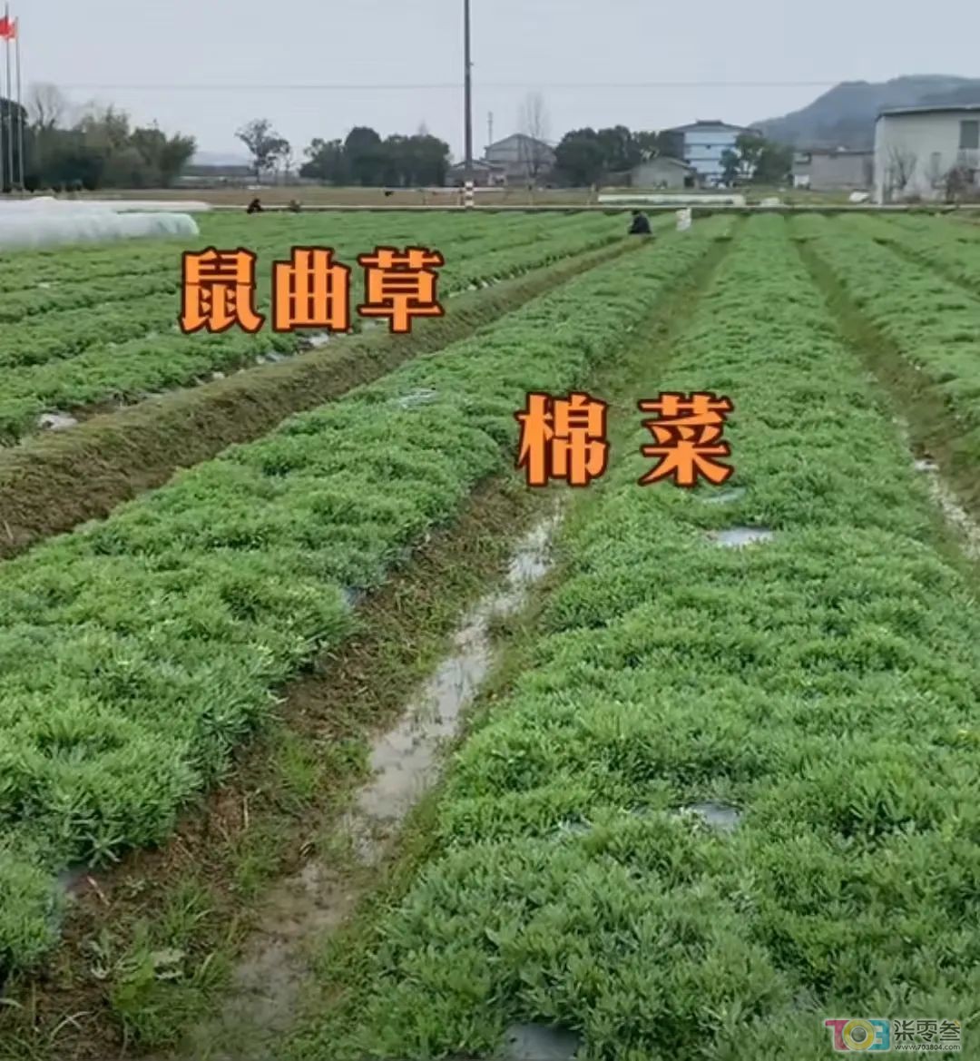 微信图片_20250310081809.jpg