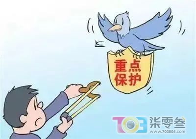 微信图片_20250311082539.jpg