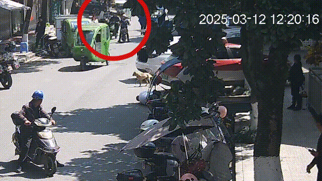 微信图片_20250313181758.gif