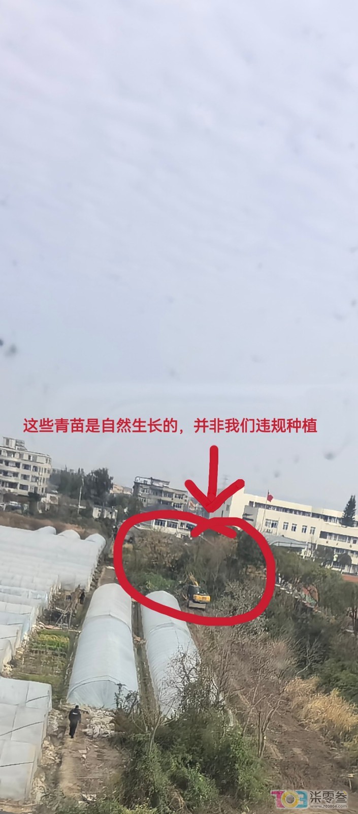 MEITU_20250208_153516045.jpg