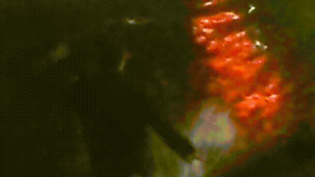w4.jpg