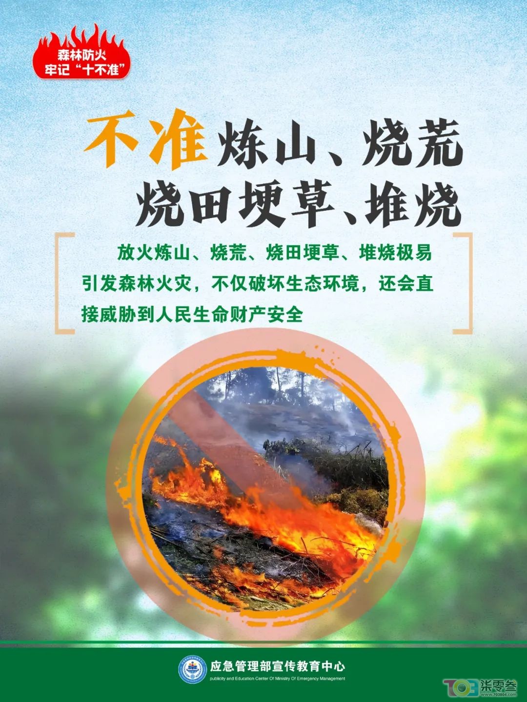 flBqFl228172J8Oj.jpg