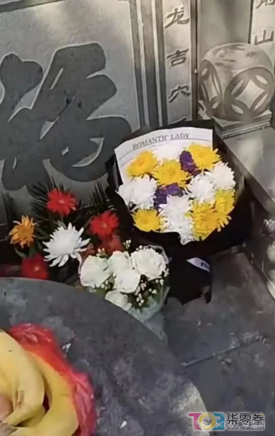 w5.jpg