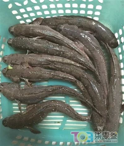 微信图片_20250427081209.jpg