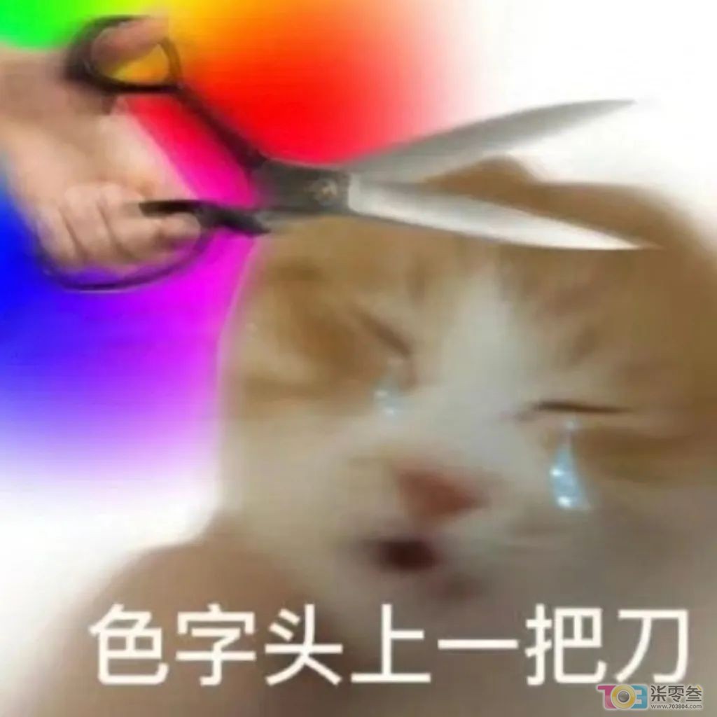 w5.jpg