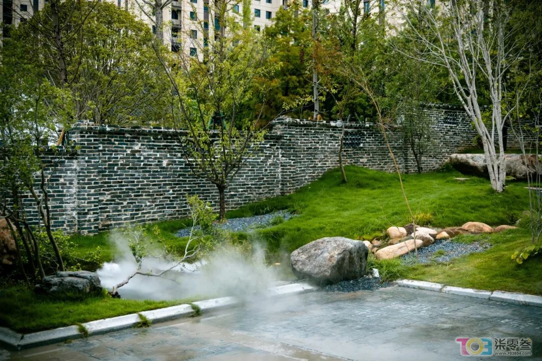 w20.jpg