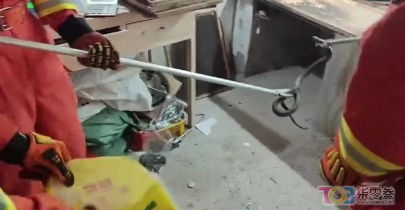 w4.jpg