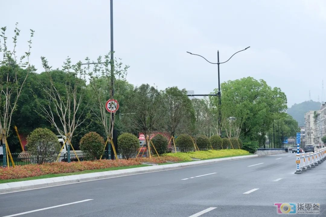 w6.jpg