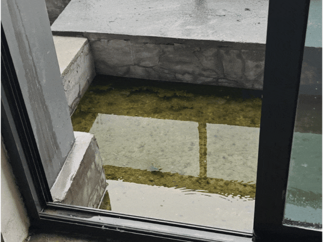 w11.jpg