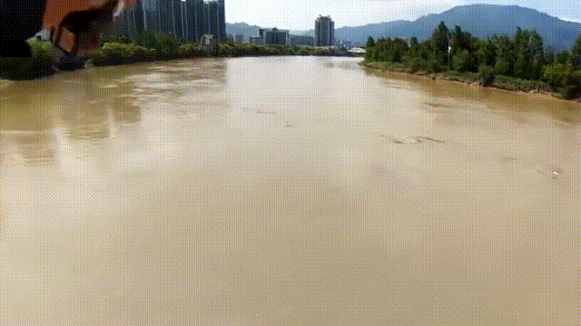 w4.jpg