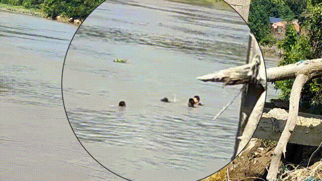 w6.jpg