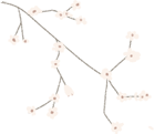 w15.jpg