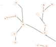 w17.jpg