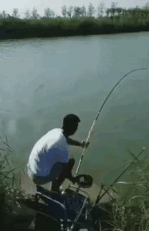 w4.jpg
