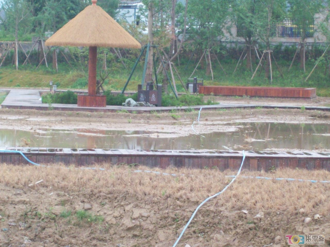 146_3971.JPG