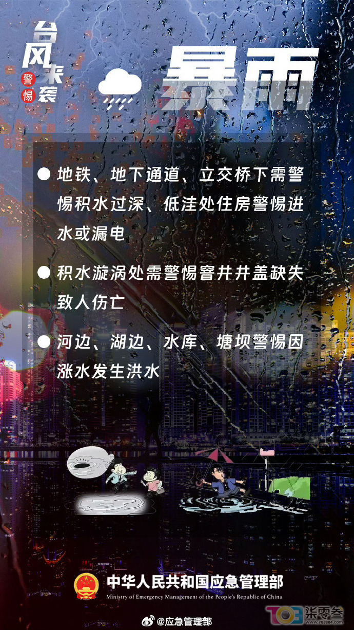 w5.jpg