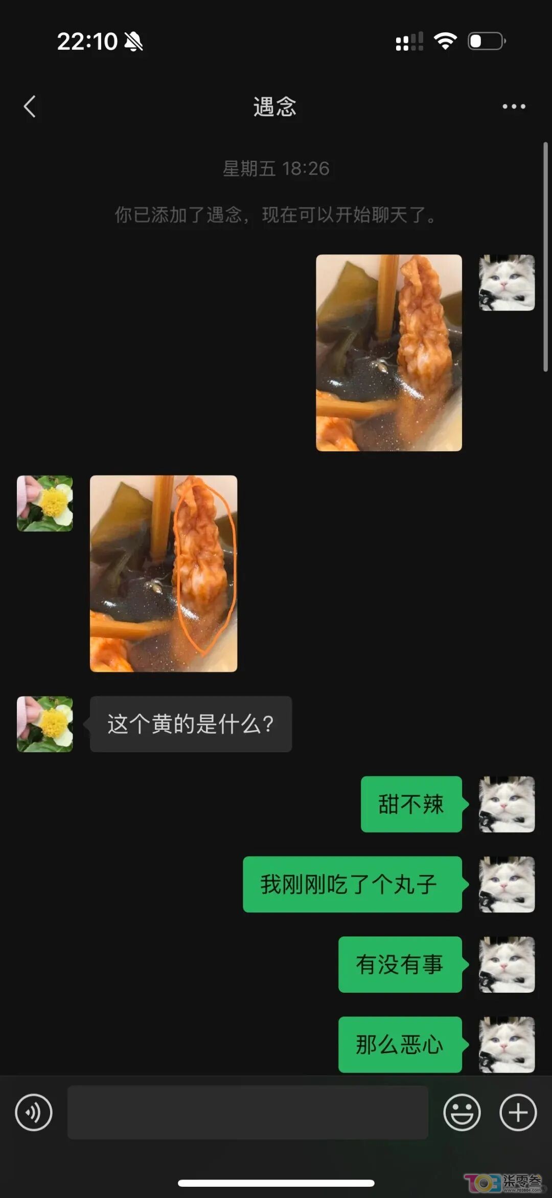 w4.jpg