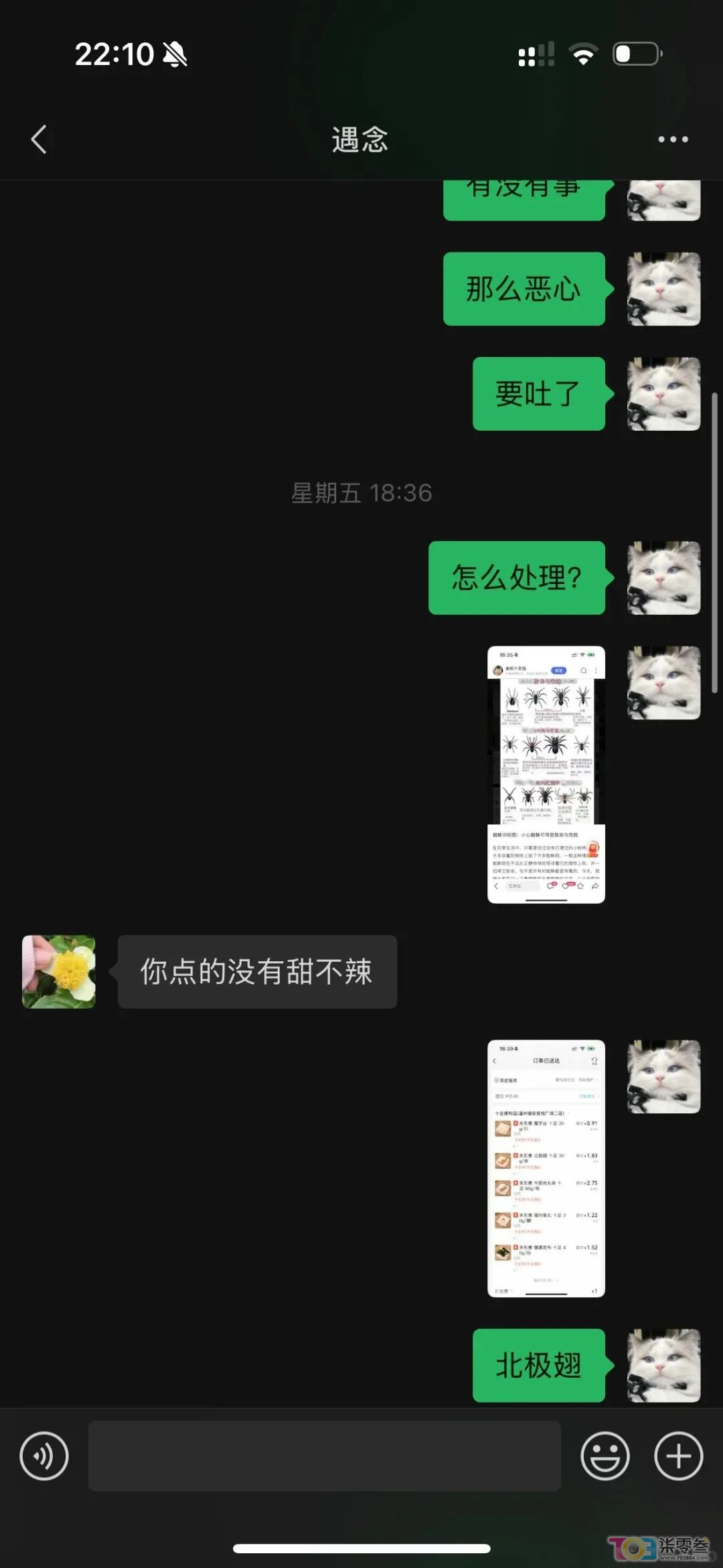 w5.jpg