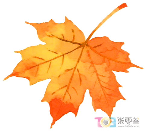 Hc4W01133410V349.jpg