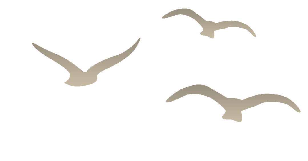 hFdGUax9xVk2r48d.jpg