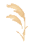 w5.jpg