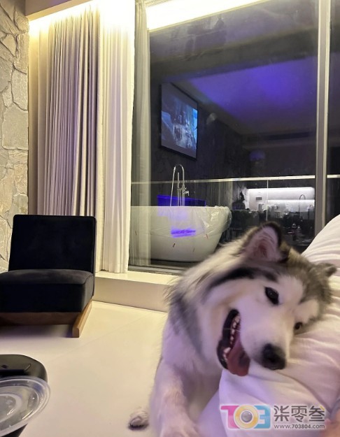 image.jpg