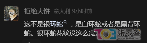 t00Zn4oUZoq66X6r.jpg