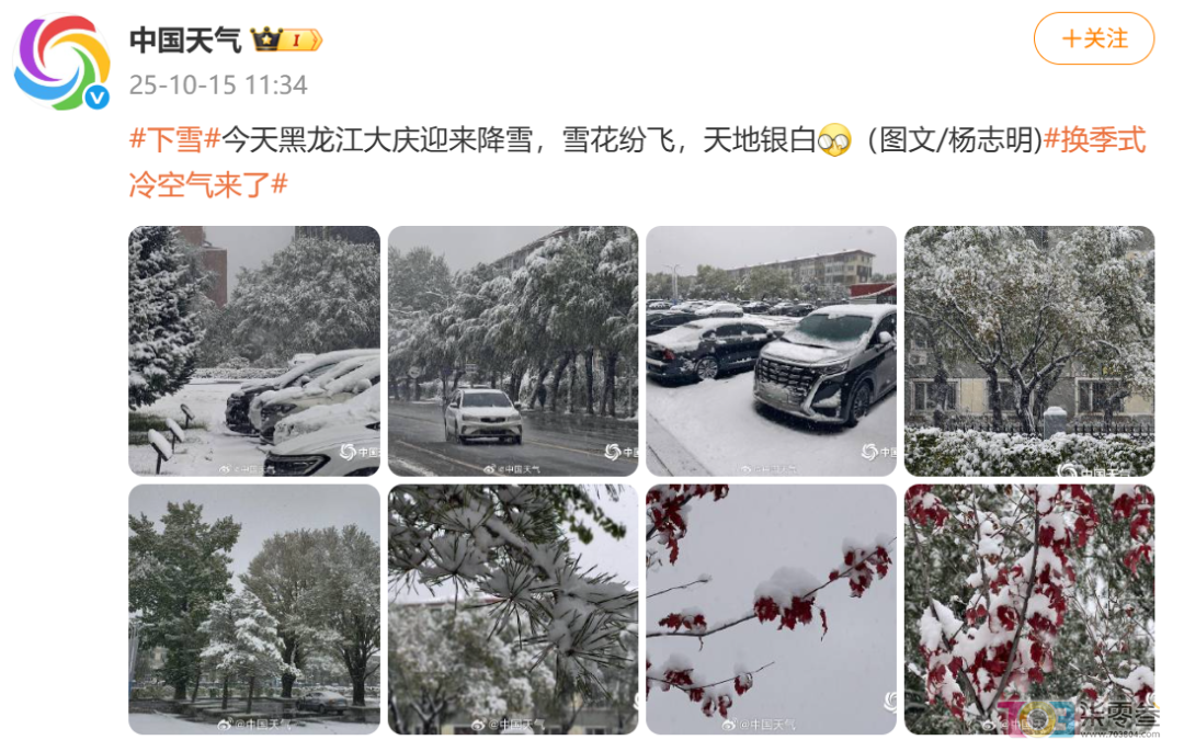 hOoeU88sGL7siqi5.jpg