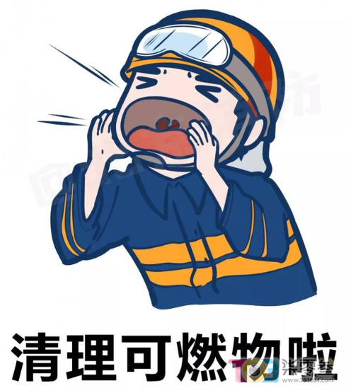 TQv3x1gV131qngF3.jpg