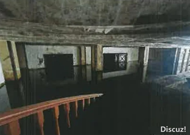 image.jpg