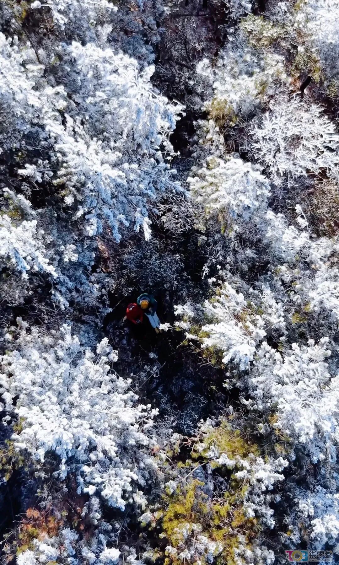 w14.jpg