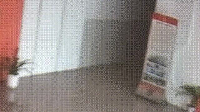 w7.jpg