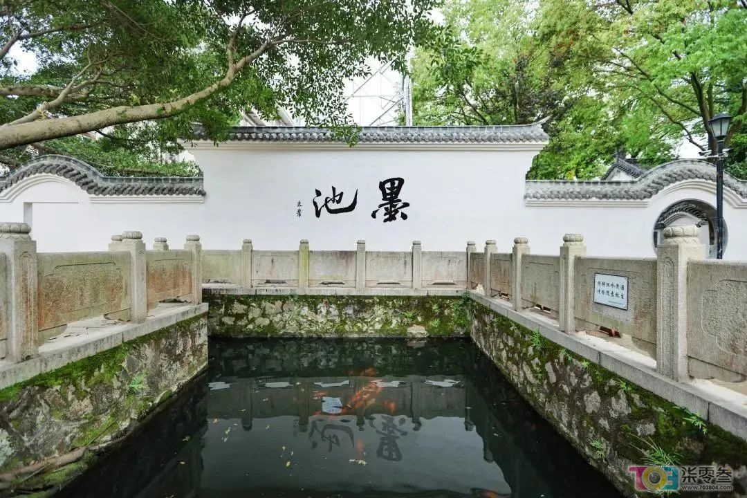 w9.jpg