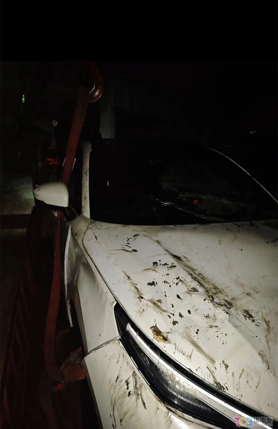 w4.jpg
