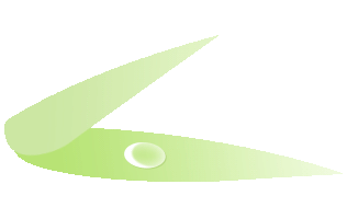 nT95swYK9Ec9QSws.jpg