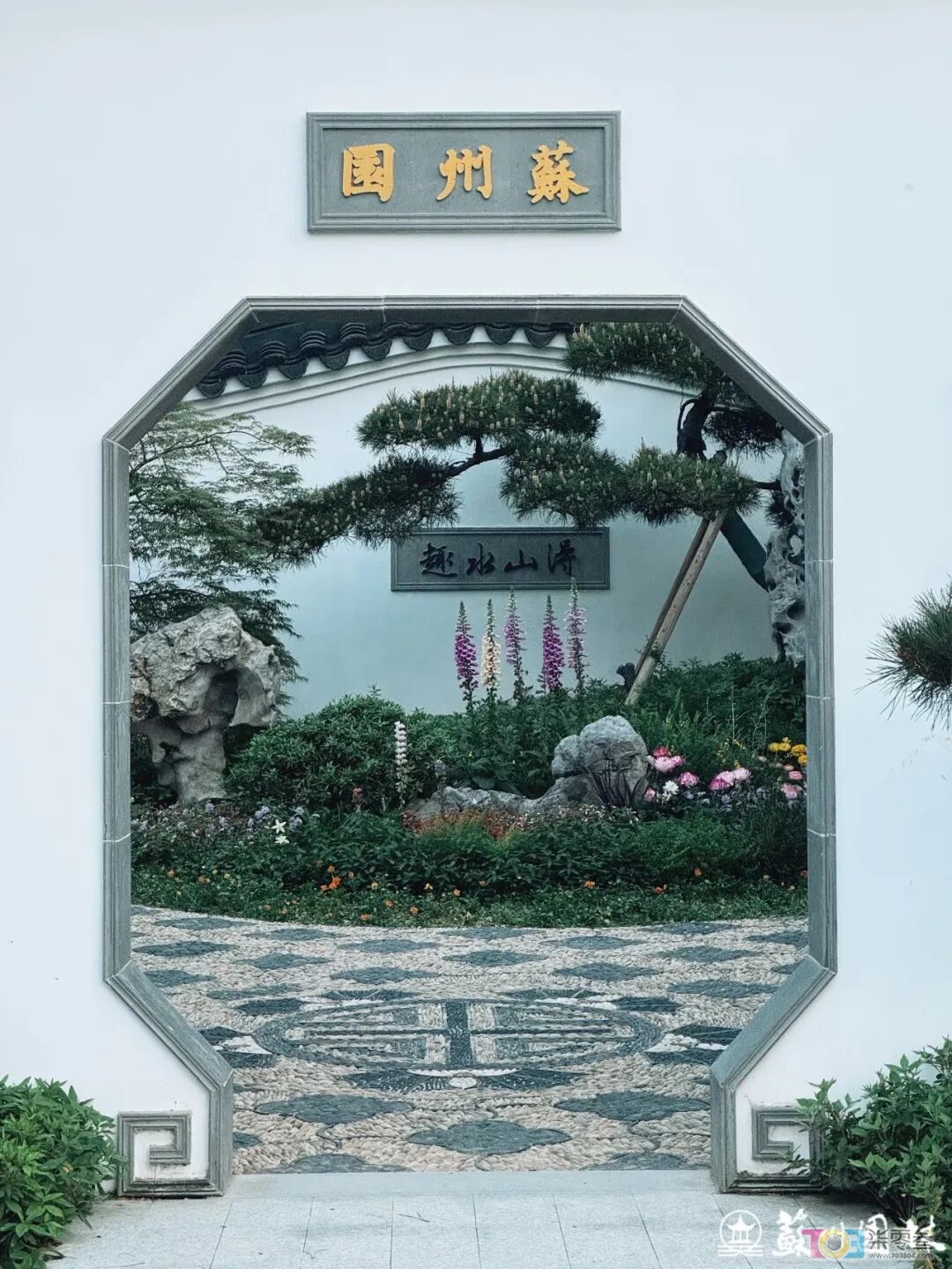 w2.jpg