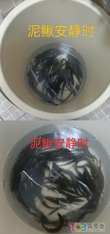 阿门1.jpg