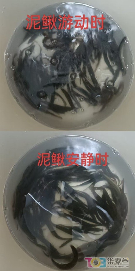阿门2.jpg