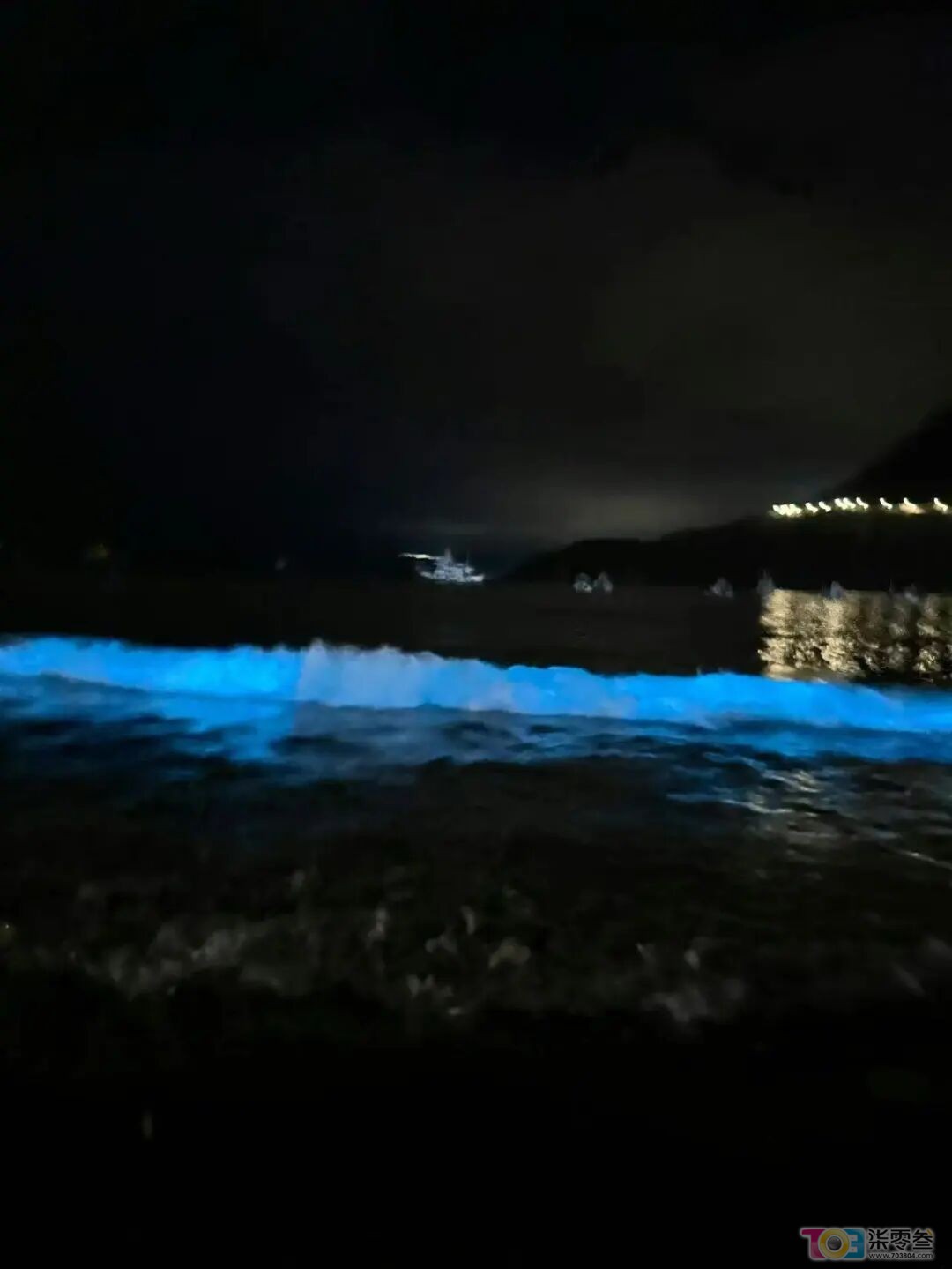 w2.jpg