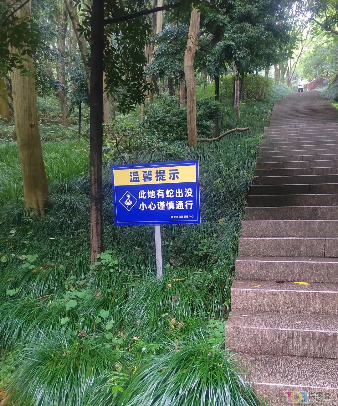 w1.jpg