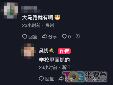 w2.jpg
