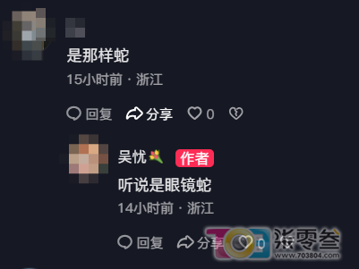 w3.jpg
