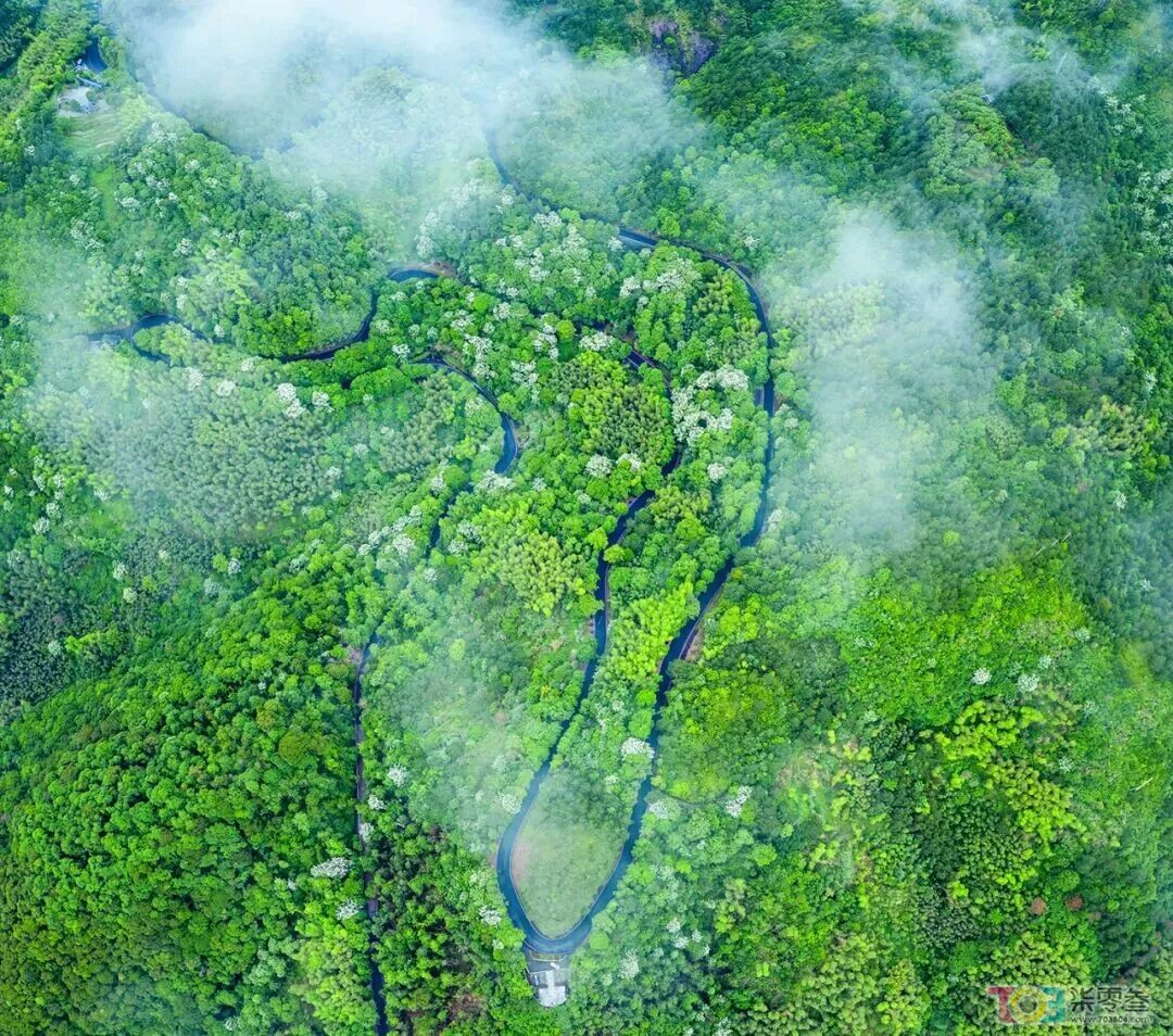 w43.jpg