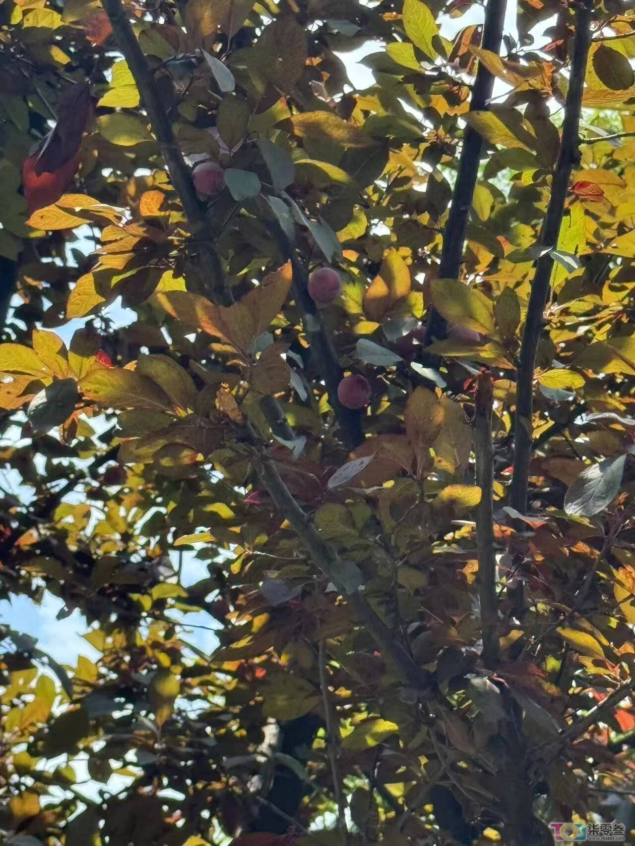w1.jpg