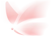 w8.jpg