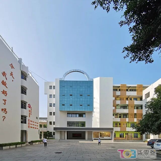 w5.jpg