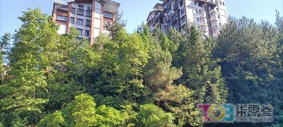 阿门5.jpg