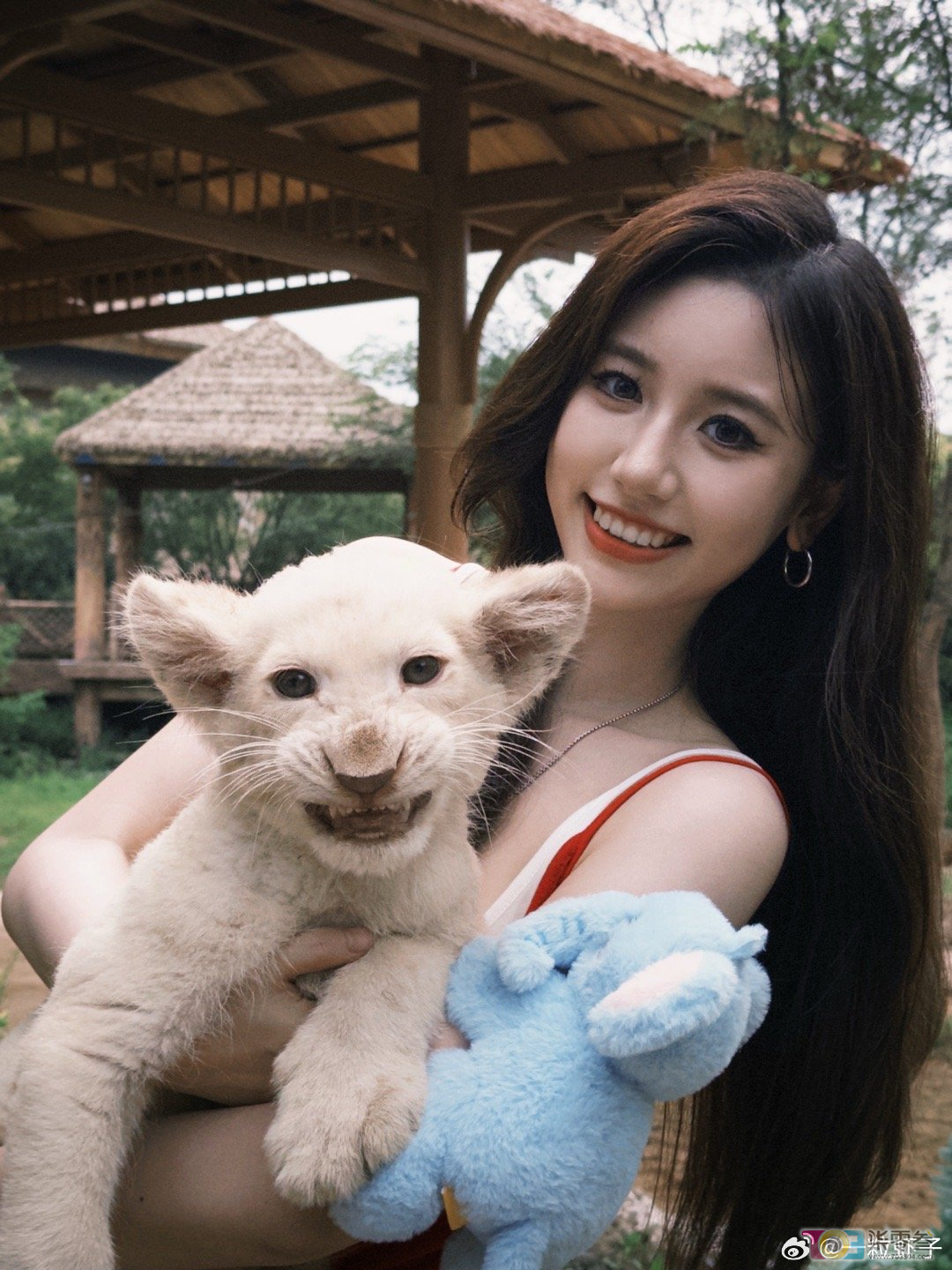 WqF2rFT5Rj5tXnz2.jpg