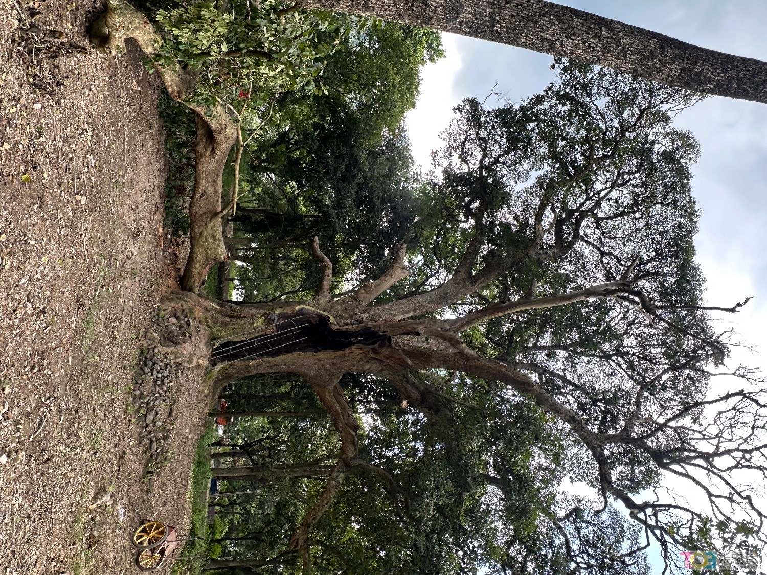 IMG_5593.jpeg
